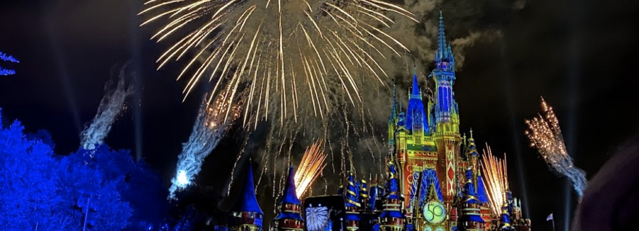 Fireworks in the night sky above the castle in Magic Kingdom.